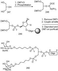 Figure imgf000341_0002