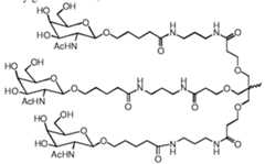 Figure imgf000091_0002