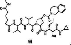 Figure BSA00000606821201901