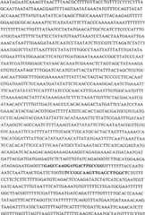 Figure G05842547720070613D000851