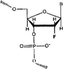 Figure GSA00000011609800091