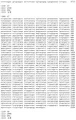 Figure IDA00002091897100601