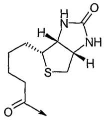 Figure imgf000053_0003