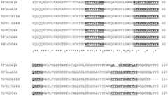 Figure BDA0004113341620000481