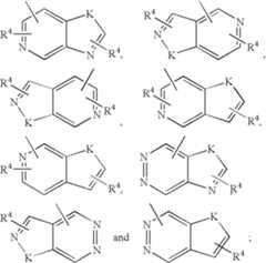 Figure US06906070-20050614-C00019