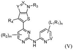 Figure imgf000019_0002
