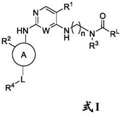 Figure BDA0003508720790000041