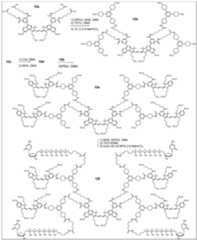 Figure imgf000099_0001