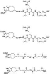 Figure imgf000047_0001
