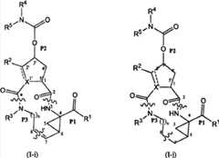 Figure S2006800355619D00221