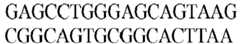 Figure imgb0463