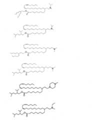 Figure 2022508511000014