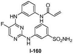 Figure BDA0001453135130002394