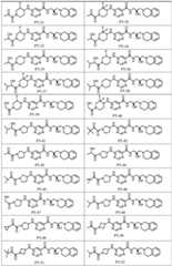 Figure FDA0004120948260000081