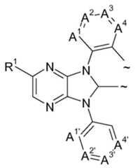 Figure 112020143667216-pat00006