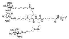 Figure 2023113843000384