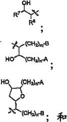 Figure A2006800490480002C4