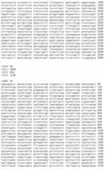 Figure IDA00002091897100941