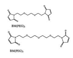 Figure 104119613-A0202-12-0145-160