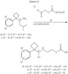 Figure US08604244-20131210-C00034