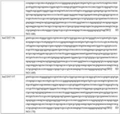 Figure GDA0002332994560000781