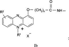 Figure BPA00001263293900243