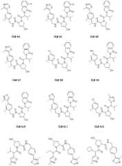 Figure BDA0003027048450001201