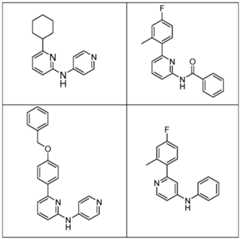 Figure imgf000074_0002