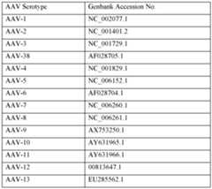 Figure imgf000067_0001