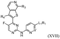 Figure imgf000024_0001