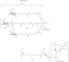 Figure US09957292-20180501-C00006