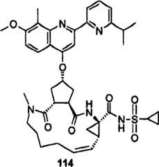 Figure BSA00000676350901011