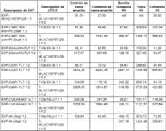 Figure imgf000032_0001