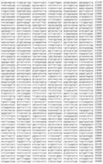 Figure IDA00002091897100111