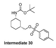 Figure imgf000263_0003