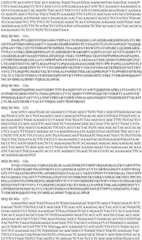 Figure BDA0003508968760001341