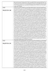 Figure imgf000349_0001