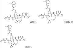 Figure BPA00001530935300161