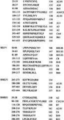 Figure BSA0000176163890000361