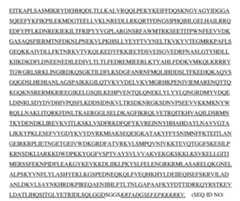 Figure imgf000013_0001