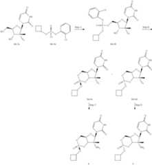 Figure US09765107-20170919-C00035