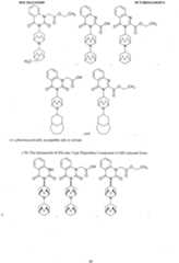 Figure imgf000024_0001