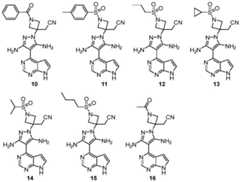 Figure BDA0002953599680000252