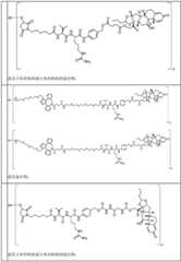 Figure BDA0002889616220001451