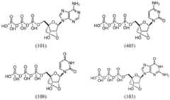 Figure imgf000072_0003