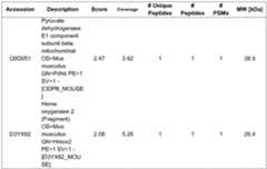 Figure imgf000051_0001