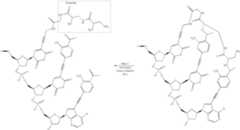 Figure US07727713-20100601-C00106