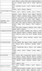 Figure BDA0004033970230003931