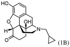 Figure imgf000014_0002