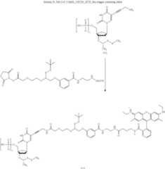 Figure US12215122-20250204-C01102